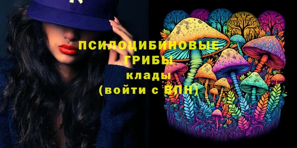 стафф Нефтекумск