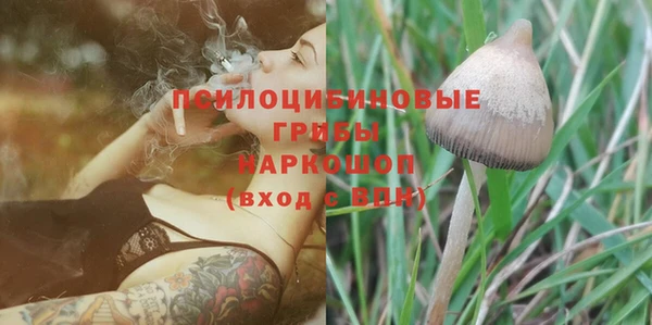 дмт Нефтегорск