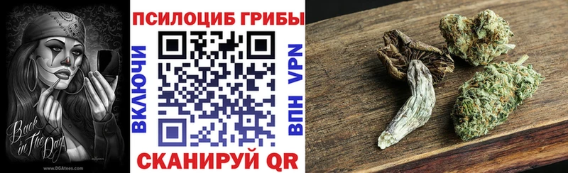 Галлюциногенные грибы прущие грибы Инза
