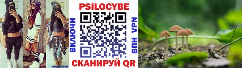 Галлюциногенные грибы Magic Shrooms  Купить  Инза 